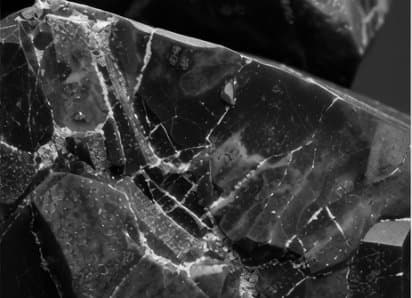 Cover Image for OpenAI Codex in 2026: The New macOS App, GPT-5.2-Codex, and How It Compares